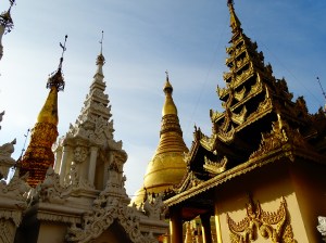 dsc02953